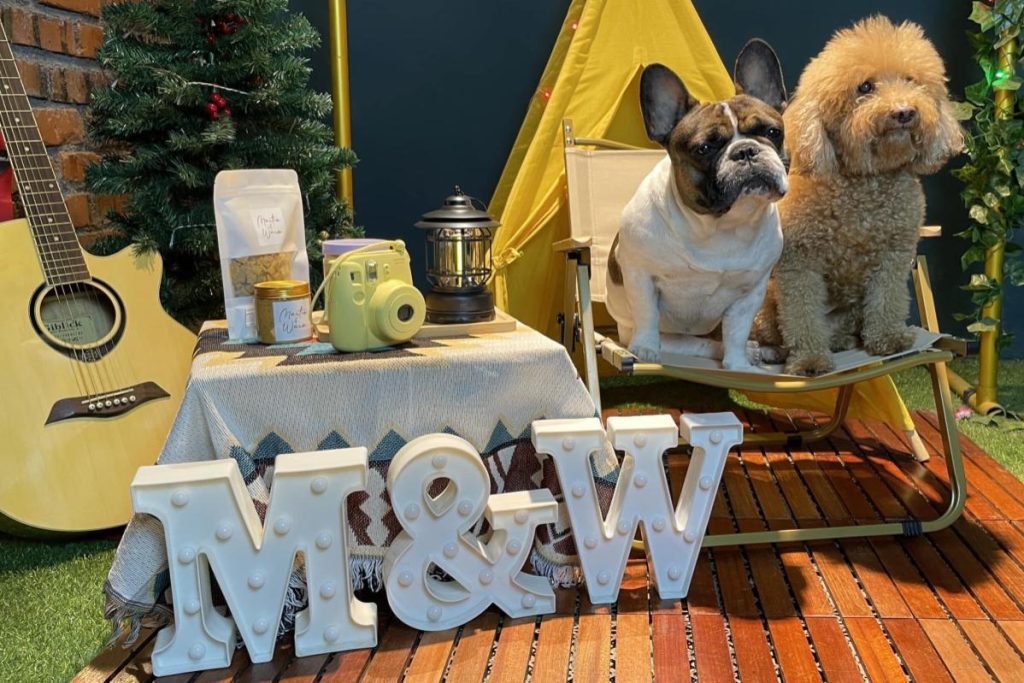 Top 7 Best Pet Cafes in Melaka 2025 13 Martin-Warm