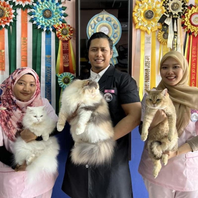Top 10 Best Cat Grooming Shops in KL & Selangor 2025 15 Meow-Hero-Family-Grooming-and-Hotel
