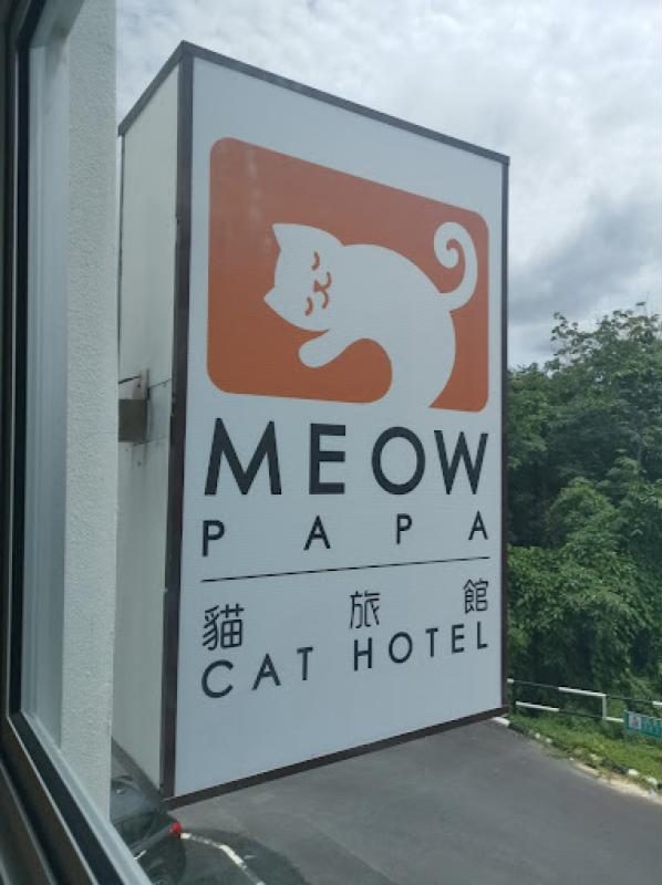 Top 10 Best Cat Grooming Shops in Sarawak 2025 8 Meow-Papa-Cat-Hotel-