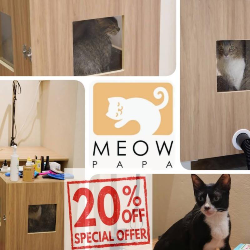 Top 10 Best Cat Grooming Shops in Sarawak 2025 9 Meow-Papa-Cat-Hotel-