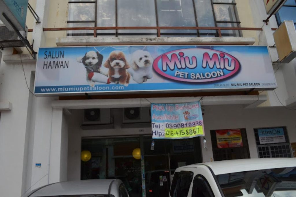 Top 10 Best Pet Grooming Shops in KL & Selangor 2025 20 Miu-Miu-Pet-Saloon--