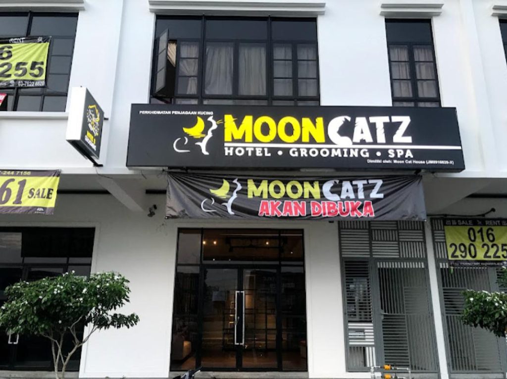 Top 10 Best Cat Grooming Shops in Johor 2025 12 MoonCatz-