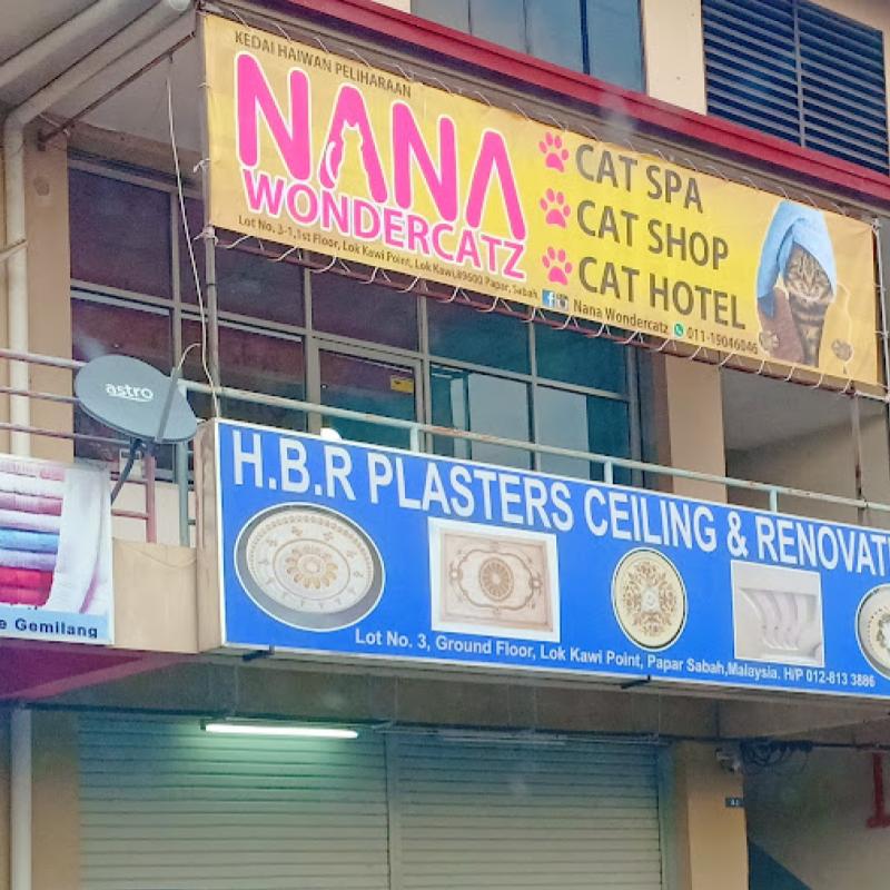 Top 10 Best Cat Grooming Shops in Sabah 2025 8 Nana-Wondercatz-