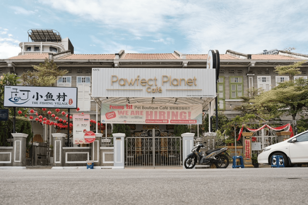 Top 5 Best Pet Cafes In Penang 2025 4 Pawfect-Planet-Cafe-PetFriendly