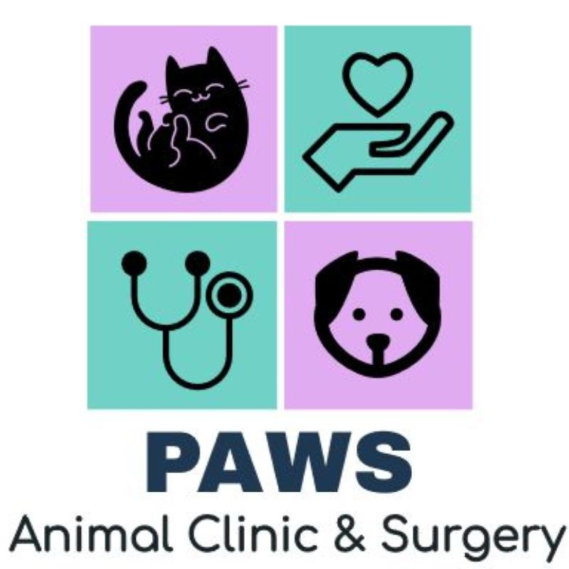 Top 10 Best Veterinary Clinics in Johor 2026 18 Paws-Animal-Clinic-Surgery