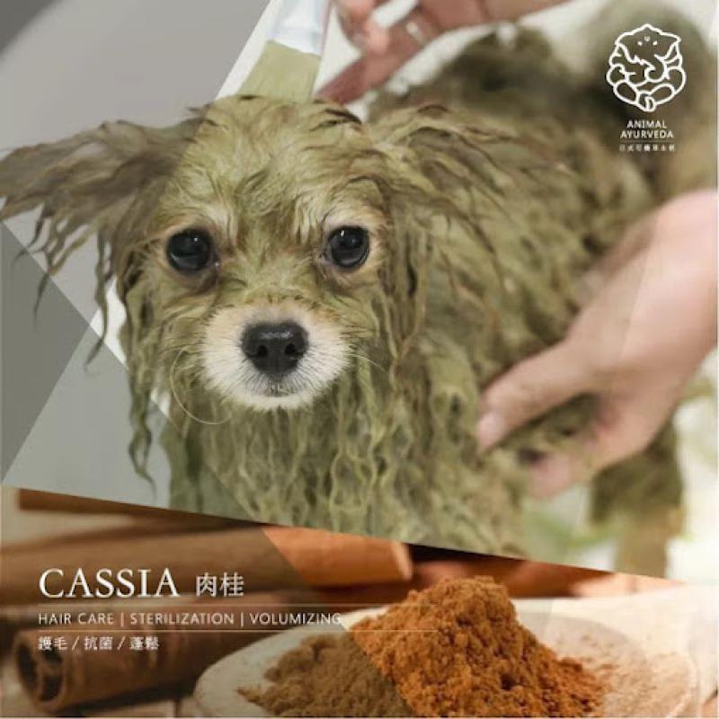 Top 10 Best Pet Grooming Shops in KL & Selangor 2025 13 Pet-Village-Enterprise-