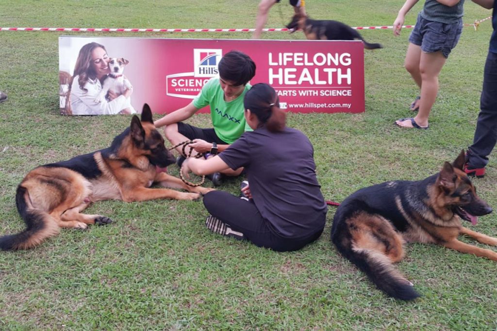 Top 10 Best Pet Shops in Kepong 2025 21 Pets-Corner-Sdn-Bhd-