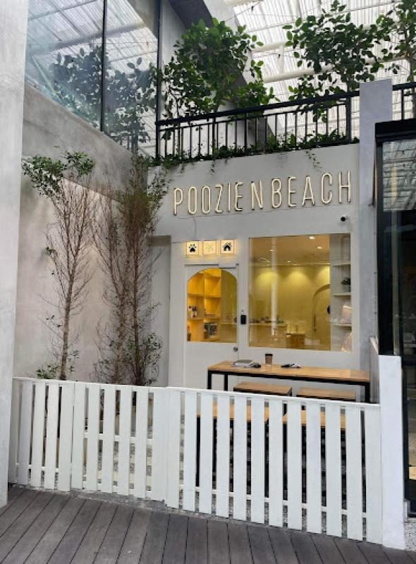 Top 10 Best Pet Grooming Shops in KL & Selangor 2025 18 Poozie-n-Beach-