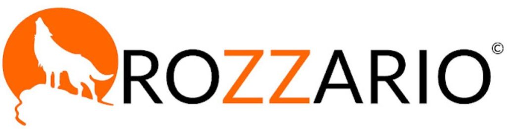 Top 10 Best Digital Marketing Agencies in KL & Selangor 2025 4 Rozzario-