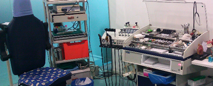 8 Klinik ENT Terbaik di Johor 2025 15 SIOW-Ear-Nose-Throat-Specialist-