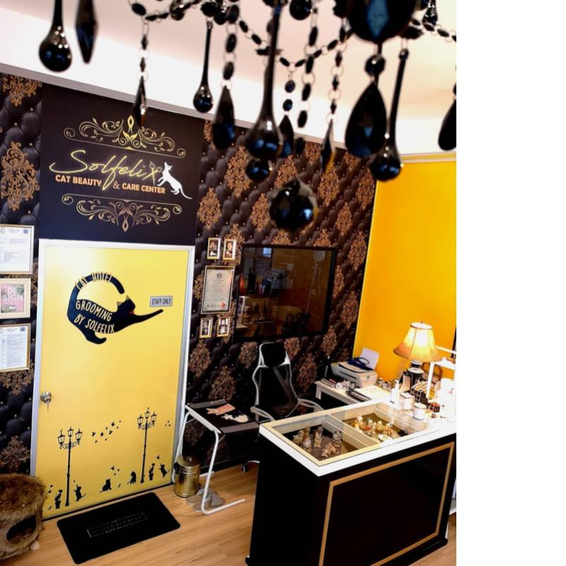 Top 10 Best Cat Grooming Shops in Penang 2025 6 Solfelix-Cat-Beauty-Care-Centre-