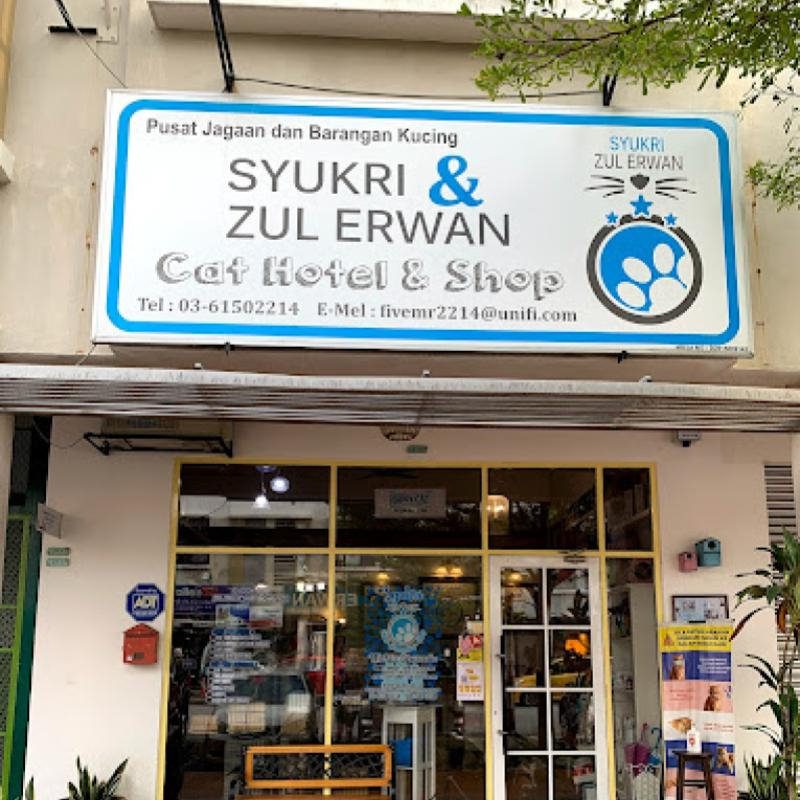 Top 10 Best Cat Grooming Shops in KL & Selangor 2025 6 Syukri-Zul-Erwan-Cat-Hotel-Shop