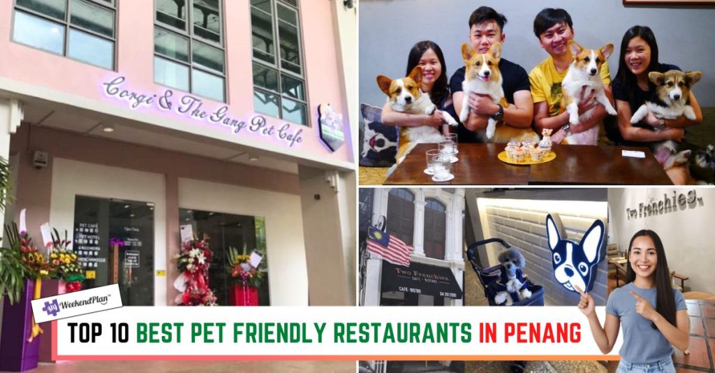 Top 10 Best Pet Friendly Restaurants in Penang 2024