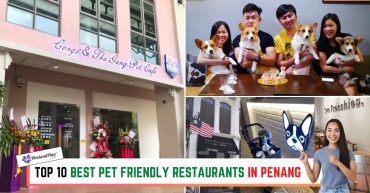 TOP--BEST-PET-FRIENDLY-RESTAURANTS-IN-PENANG