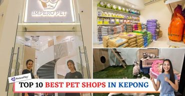 TOP--BEST-PET-SHOPS-IN-KEPONG