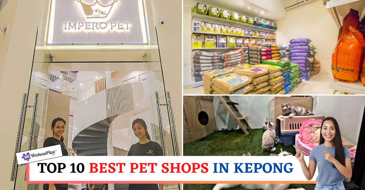 TOP--BEST-PET-SHOPS-IN-KEPONG