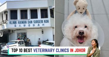 TOP--BEST-VETERINARY-CLINICS-IN-JOHOR