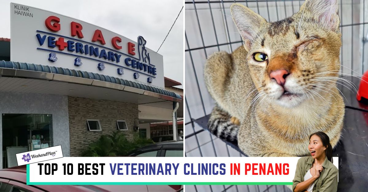 TOP--BEST-VETERINARY-CLINICS-IN-PENANG