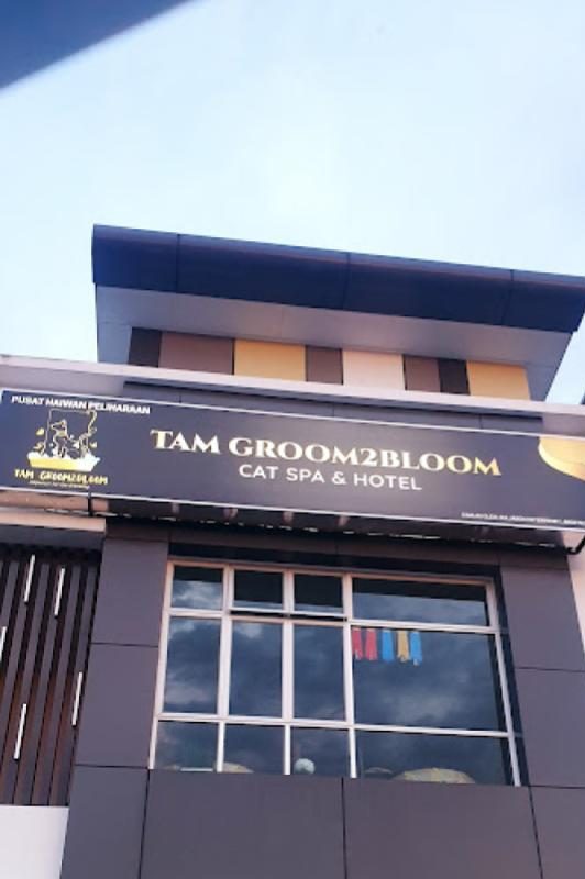 Top 10 Best Cat Grooming Shops in Johor 2025 4 Tam-GroomBloom-Cat-Spa-Hotel-