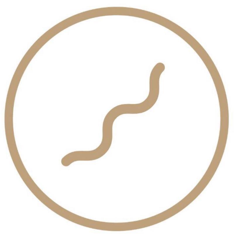 Top 10 Best Pilates Studios in Kuala Lumpur 2025 8 The-Flow-Studio-Yoga-Pilates- -Bangsar-