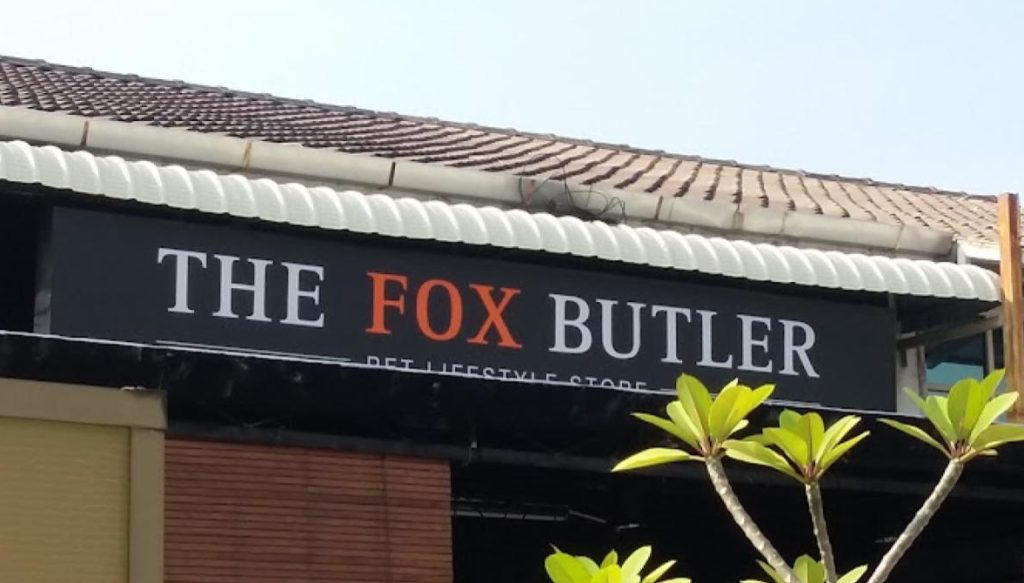 Top 10 Best Pet Grooming Shops in Penang 2025 4 The-Fox-Butler-