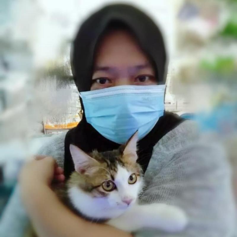 <strong>10 Klinik Haiwan Terbaik di Pulau Pinang 2024</strong> 30 Venice-Veterinary-Clinic-