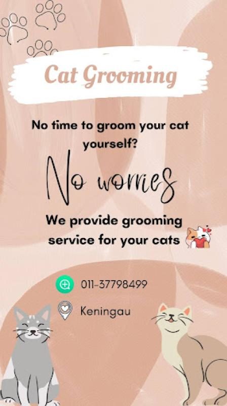 Top 10 Best Cat Grooming Shops in Sabah 2025 16 Warla-Cat-Grooming-