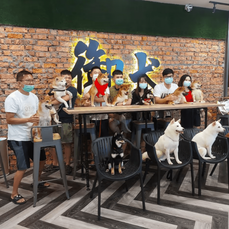 Top 8 Best Pet Cafes in Johor Bahru 2025 11 Yu-Quan-Pet-Kingdom