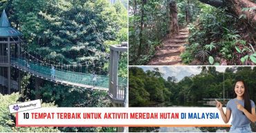 -TEMPAT-TERBAIK-UNTUK-AKTIVITI-MEREDAH-HUTAN-DI-MALAYSIA