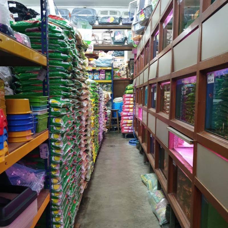 Top 10 Aquarium Shops in JB 2025 9 Banho-Birds-Aquarium-