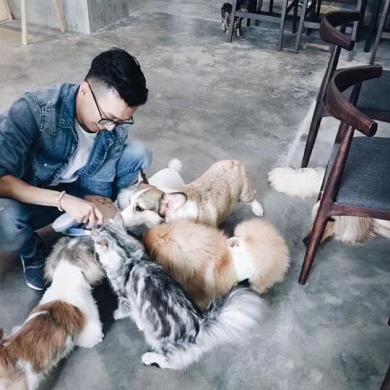 Top 10 Best Pet Friendly Restaurants in Penang 2025 21 Hidden-Maiden-