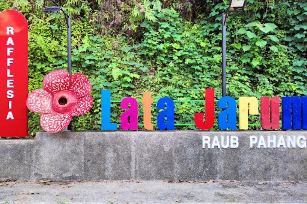 Top 10 Best Things to Do in Raub, Pahang 2025 16 Lata-Jarum-Forest-Eco-Park-