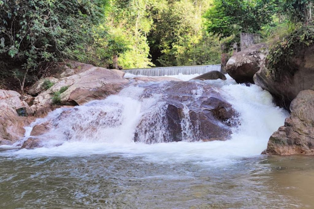 Top 10 Best Things to Do in Raub, Pahang 2025 17 Lata-Jarum-Forest-Eco-Park-