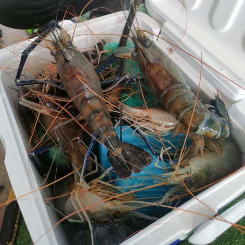 Top 10 Best Things To Do Near Teluk Intan 2025 21 RIN-Rakit-Water-Hut-