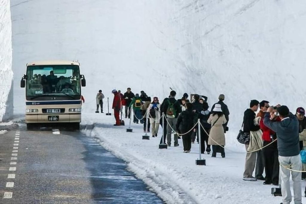 Top 10 Best Travel Agencies in Penang 2025 21 Tong-Yan-Travel-Tours-Sdn-Bhd-