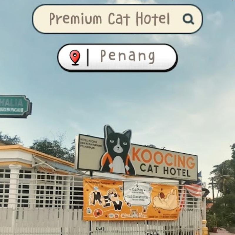 Top 10 Best Cat Grooming Shops in Penang 2025 8 Koocing-Cat-Hotel-Cat-Grooming