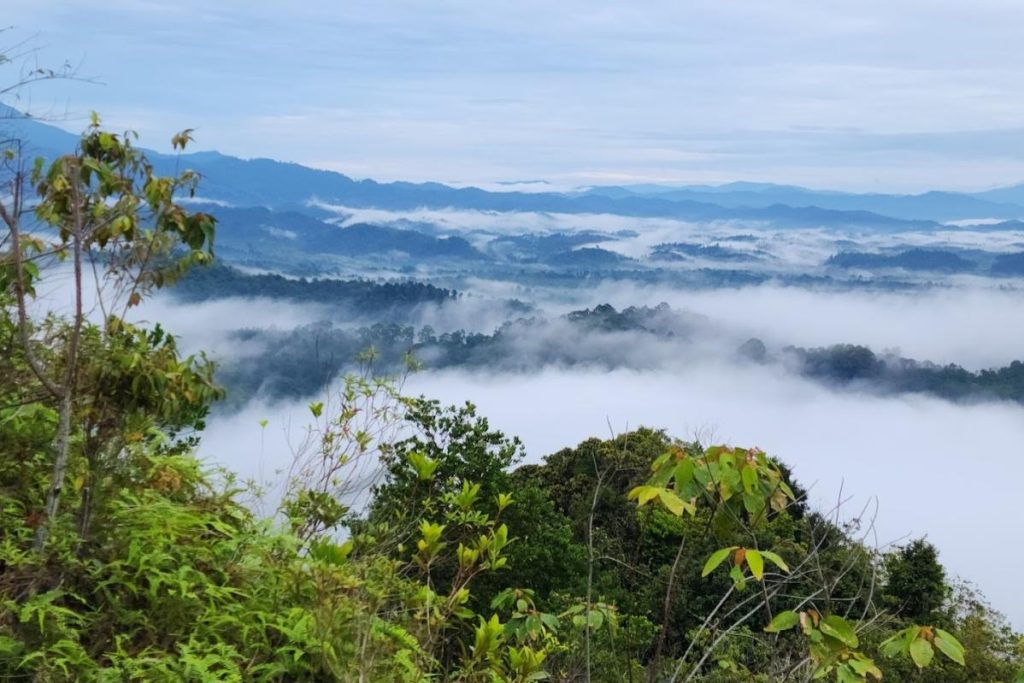 Top 15 Best Outdoor Team Building Activities in Malaysia 2025 8 untitled-rectangle-presentation---T.