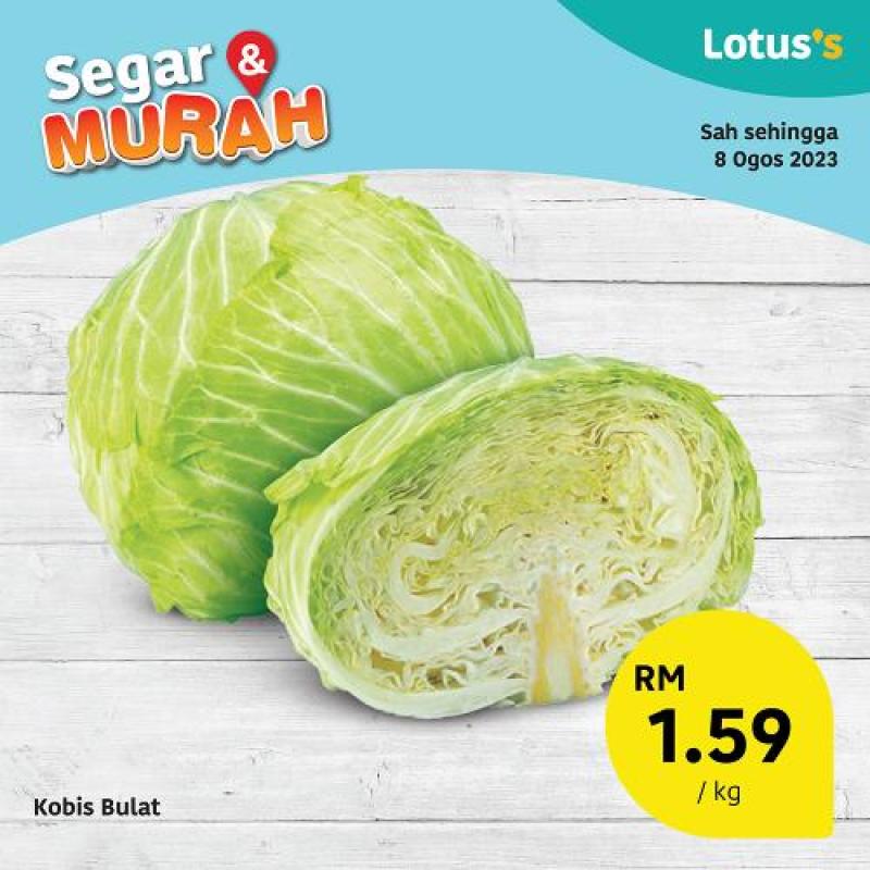 Enjoy Lotus's Amazing August 2023 Fresh Product Promotion 1 untitled-square-presentation---T.