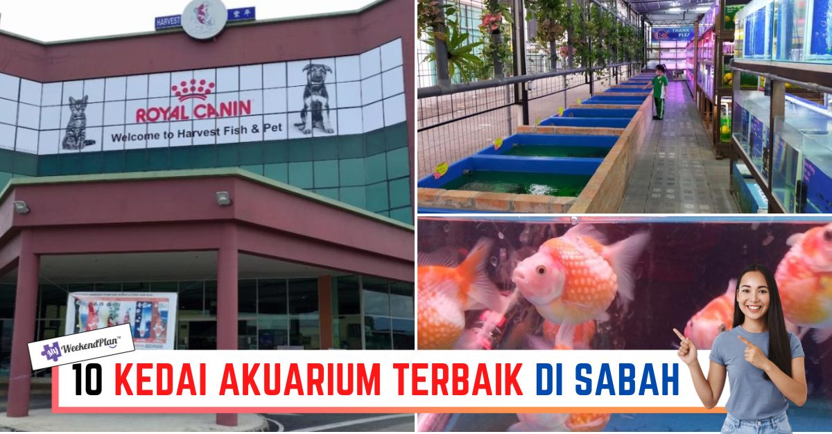 '-KEDAI-AKUARIUM-TERBAIK-DI-SABAH-
