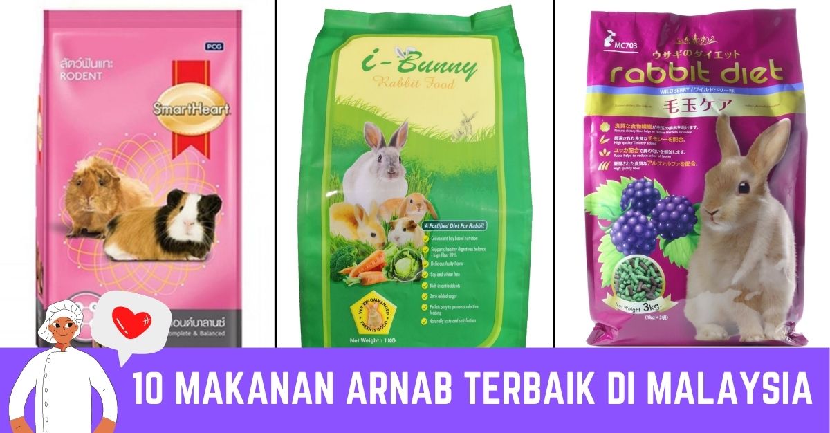 '-Makanan-Arnab-Terbaik-di-Malaysia-