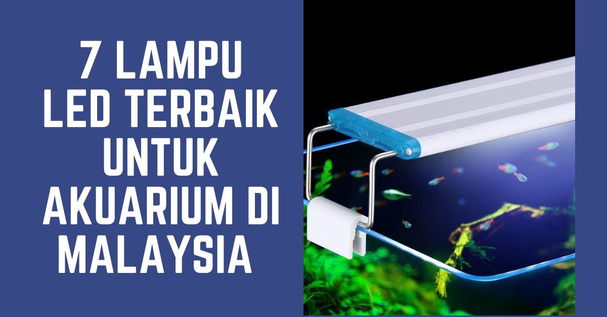 '-LAMPU-LED-TERBAIK-UNTUK-AKUARIUM-DI-MALAYSIA-