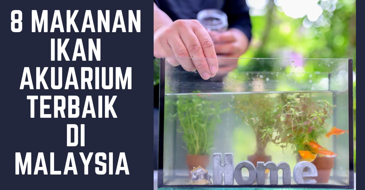 Makanan Ikan Akuarium Terbaik di Malaysia