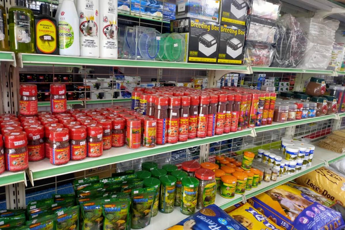 Top 10 Aquarium Shops in JB 2025 17 HT-Life-Ocean-Aquarium-Pet-Center-