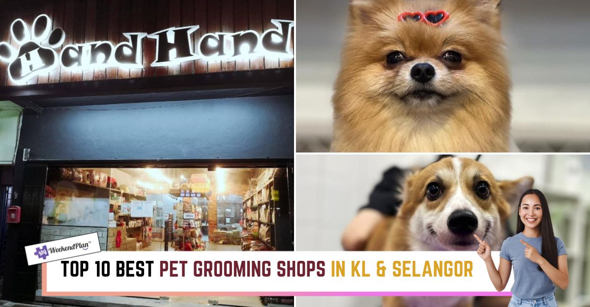 TOP--BEST-PET-GROOMING-SHOPS-IN-KL-SELANGOR