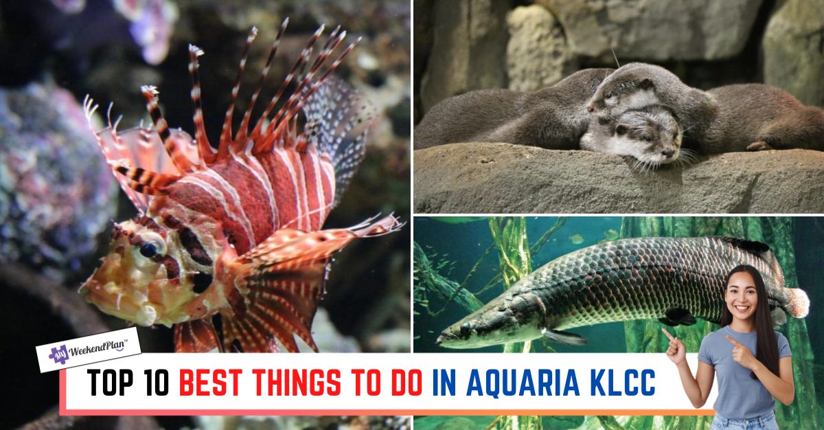 TOP--BEST-THINGS-TO-DO-IN-AQUARIA-KLCC