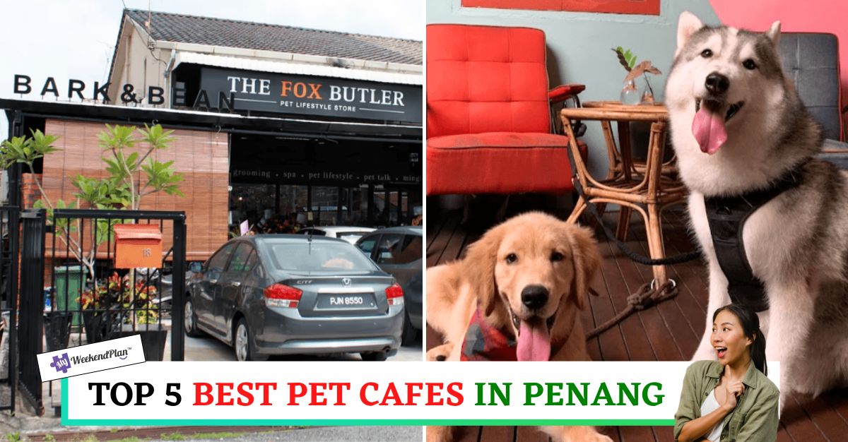 TOP--BEST-PET-CAFES-IN-PENANG