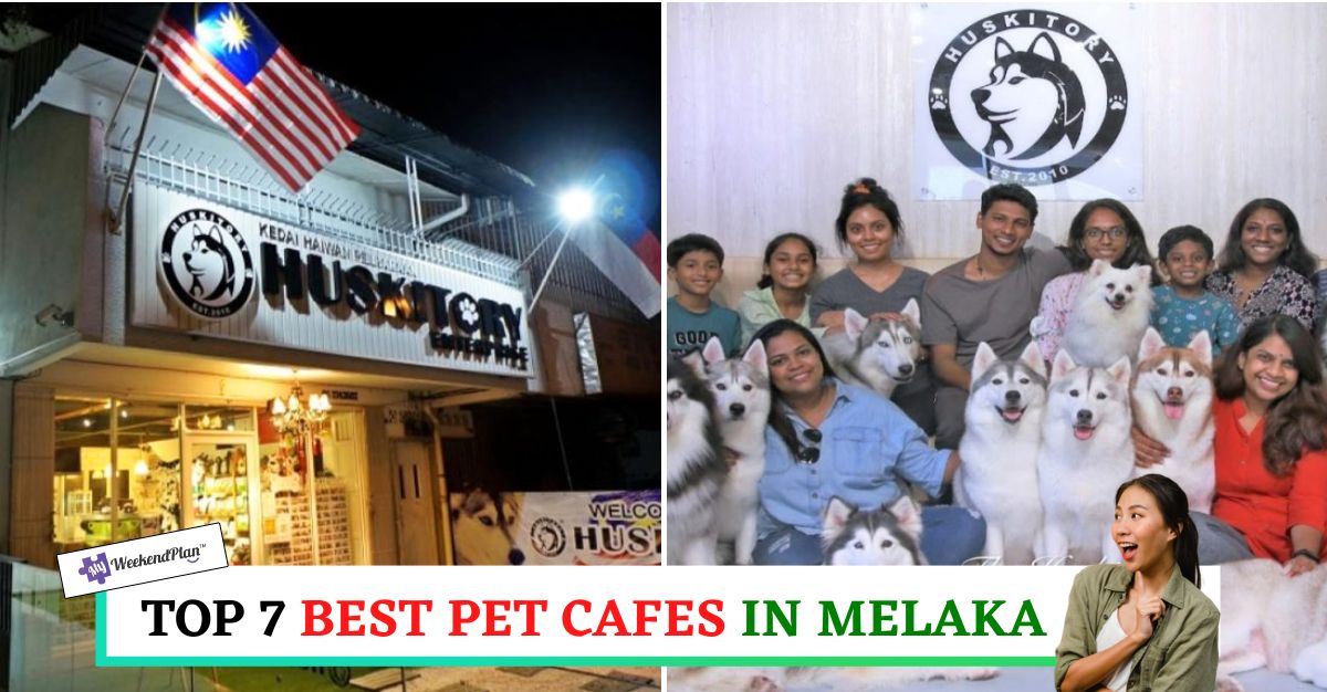 TOP--BEST-PET-CAFES-IN-MELAKA