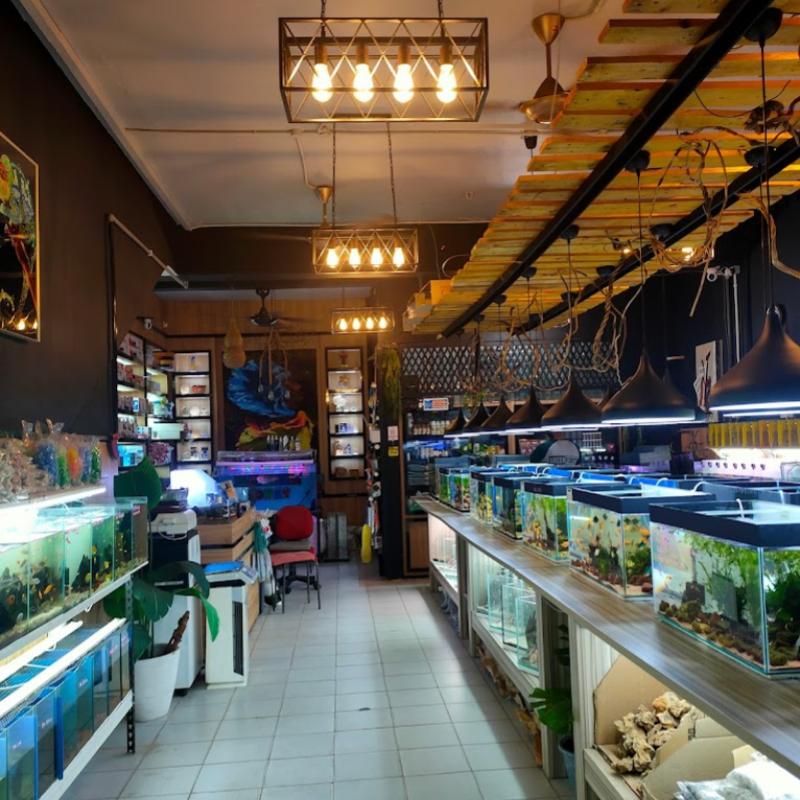 Top 10 Aquarium Shops in JB 2025 13 Tokey-Aquarium-