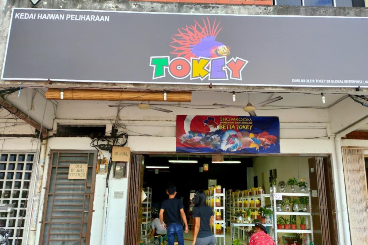 Top 10 Aquarium Shops in JB 2025 12 Tokey-Aquarium