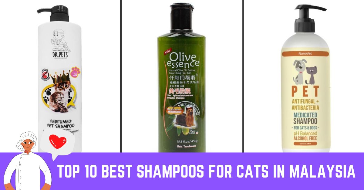 Top--Best-Shampoos-For-Cats-In-Malaysia-